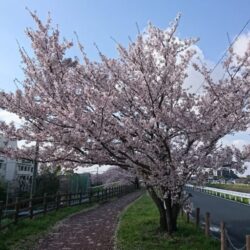 ポンコツ転職おっさんのアウトプット日記